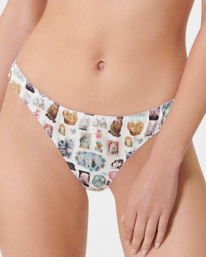 Bluebella BB x Ashley Williams Kitten Print Luxury Satin Panty Lingerie Multicolor | USAXF3327