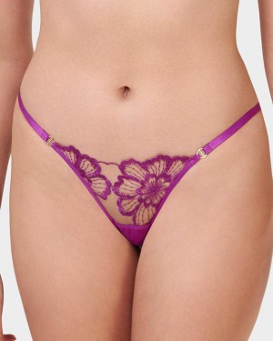 Bluebella Catalina Thong Bright Lingerie Light Purple | USAGL3281