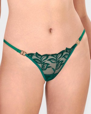 Bluebella Isadora Panty Aventurine Lingerie Green | USAQZ3295