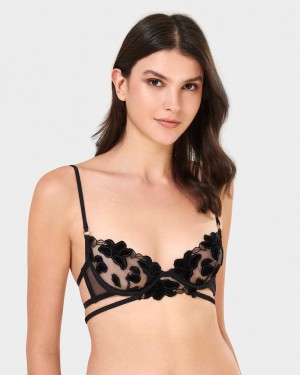 Bluebella Lena Wired Bras Black | USARW3079