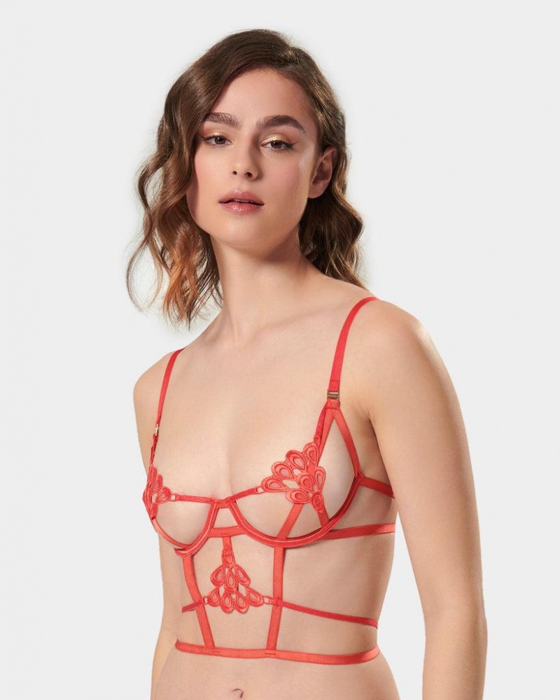 Bluebella Aria Cayenne Bras Red | USAPQ3028