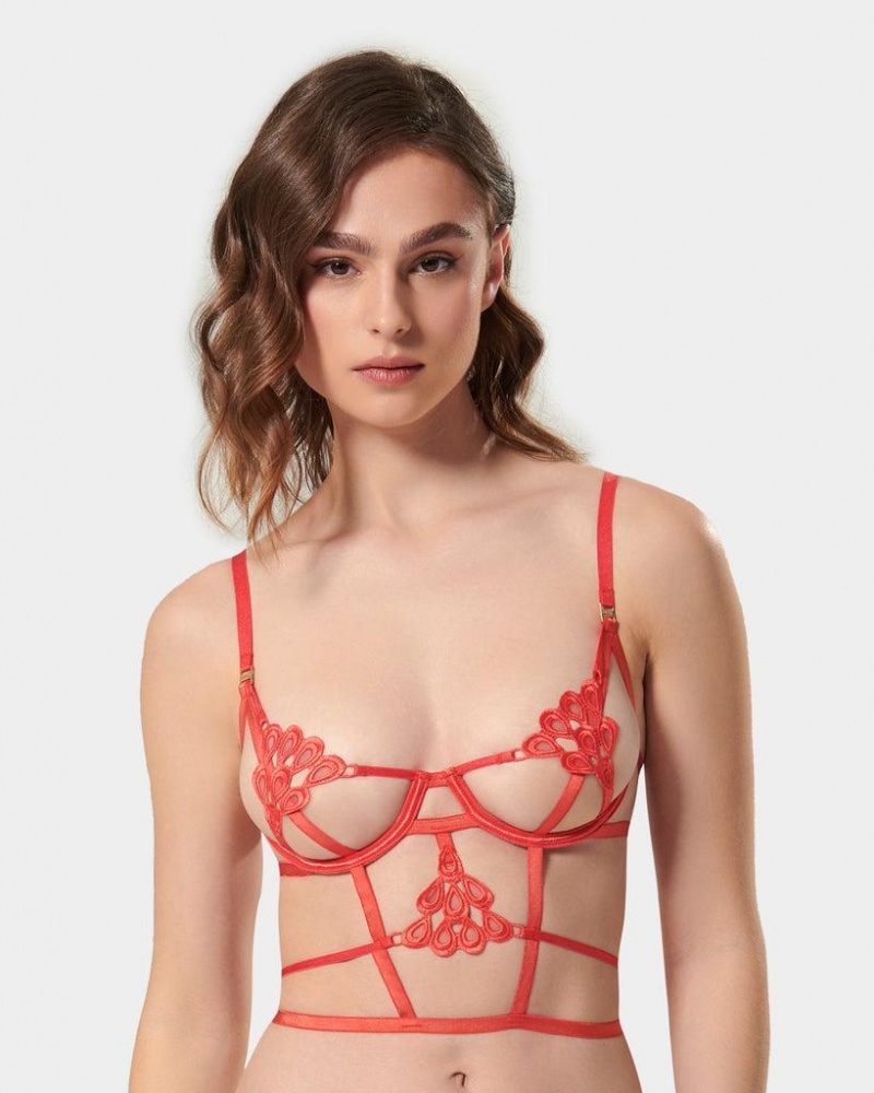 Bluebella Aria Cayenne Bras Red | USAPQ3028