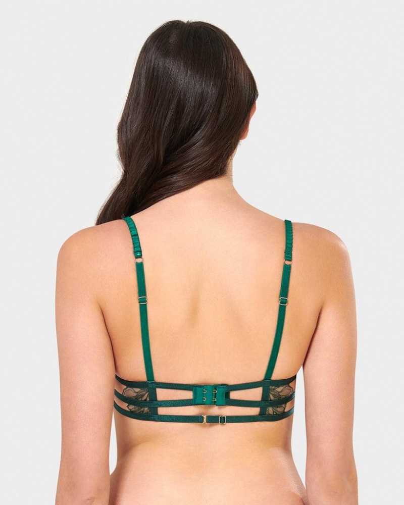 Bluebella Astra Aventurine Bra Green | USASO3512