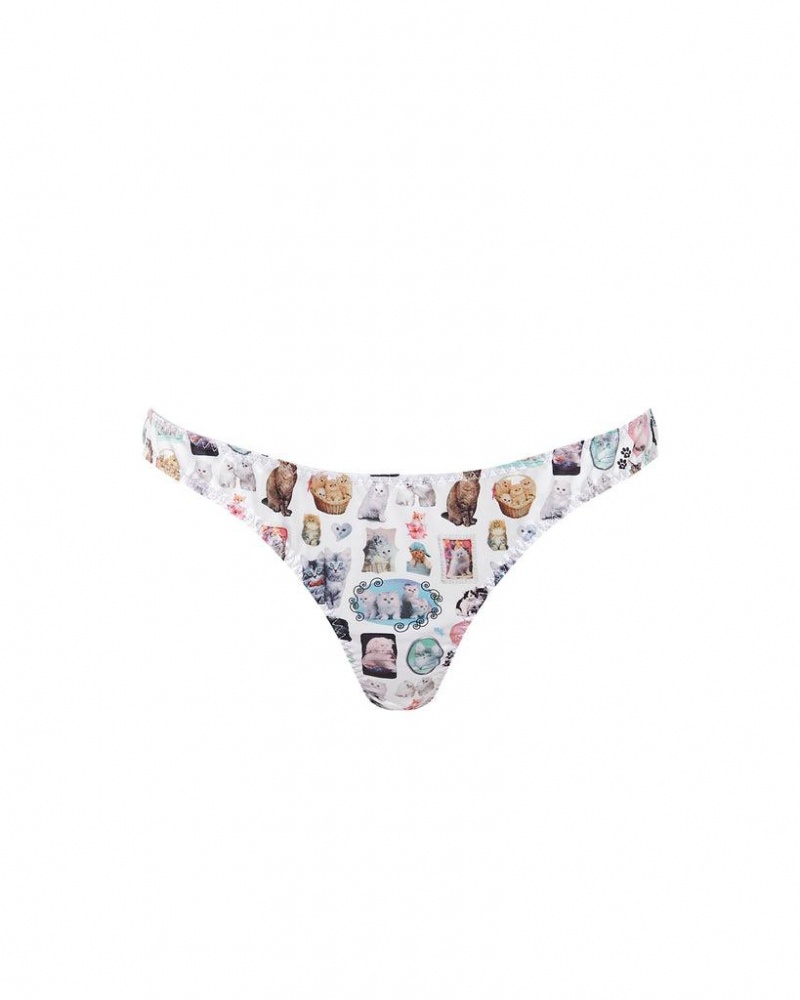 Bluebella BB x Ashley Williams Kitten Print Luxury Satin Panty Lingerie Multicolor | USAXF3327