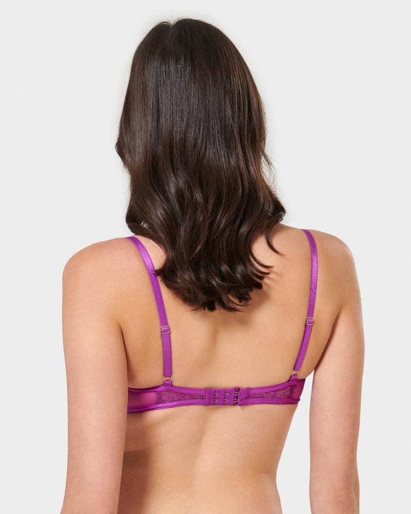 Bluebella Catalina Bright Bras Light Purple | USARW3061