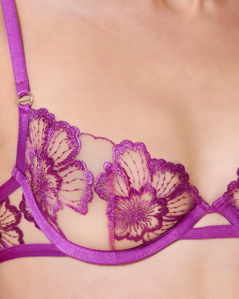 Bluebella Catalina Bright Bras Light Purple | USARW3061