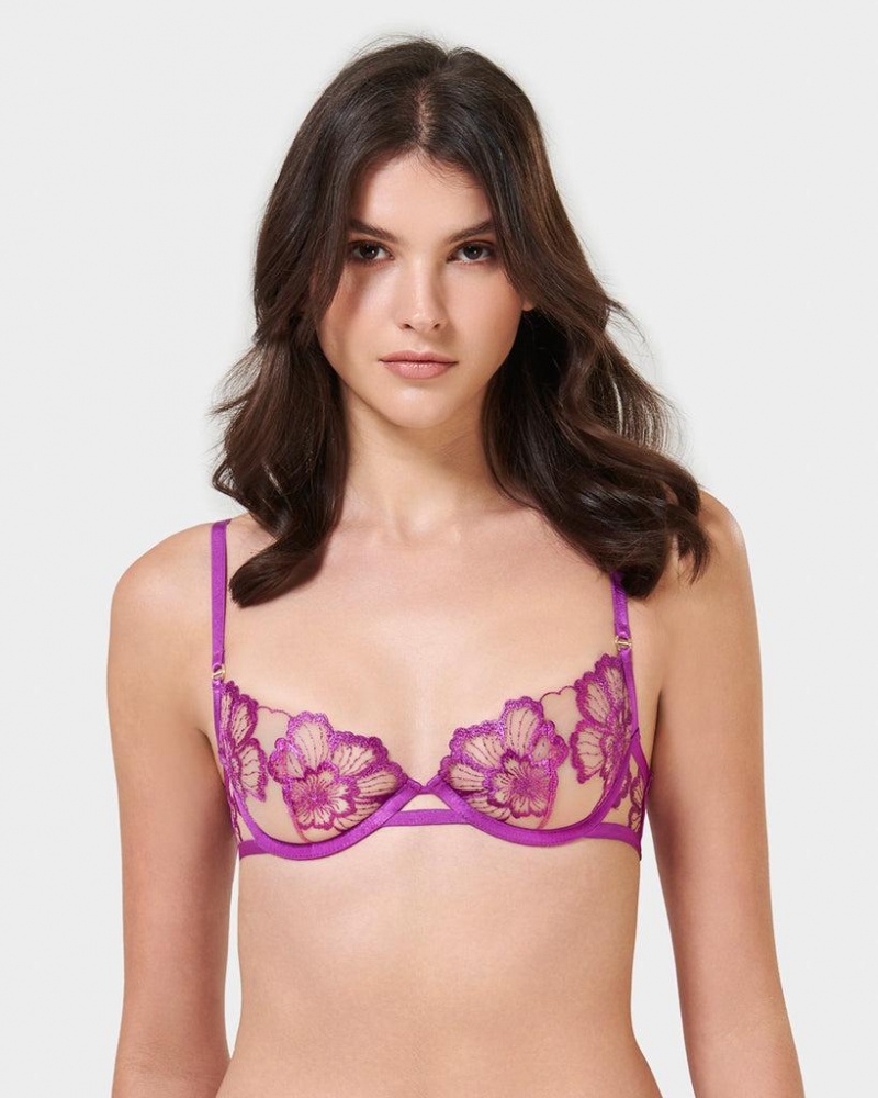 Bluebella Catalina Bright Bras Light Purple | USARW3061