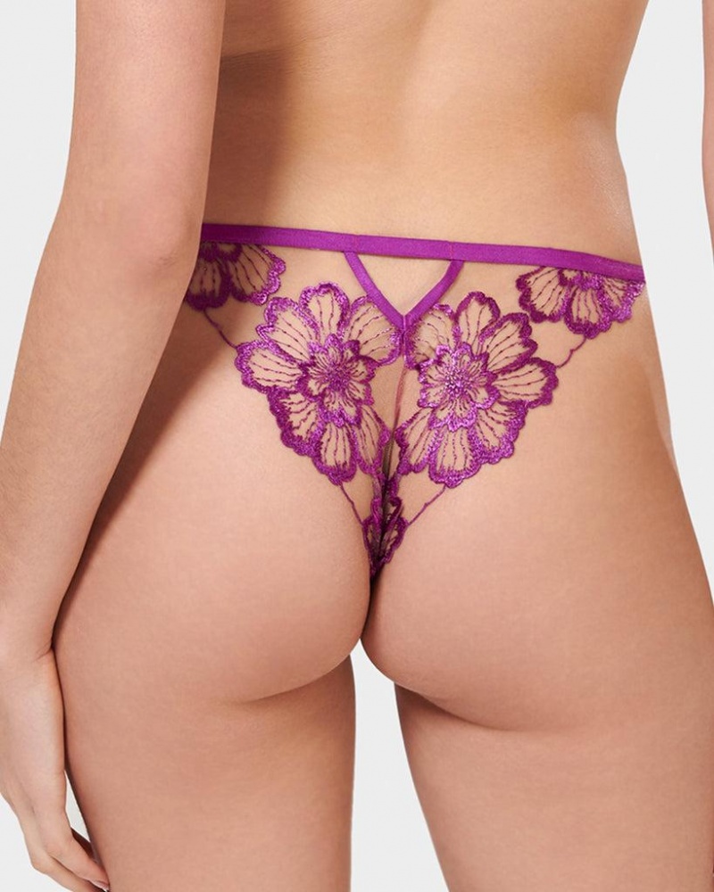 Bluebella Catalina Panty Bright Lingerie Light Purple | USATV3273