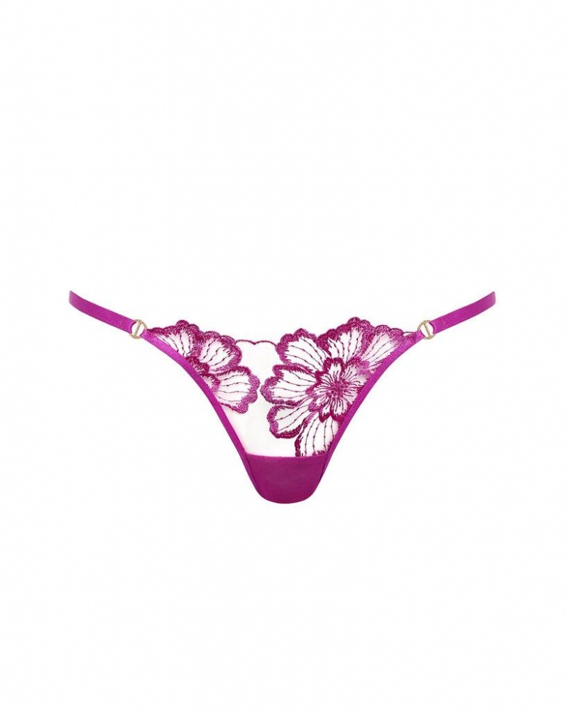 Bluebella Catalina Panty Bright Lingerie Light Purple | USATV3273