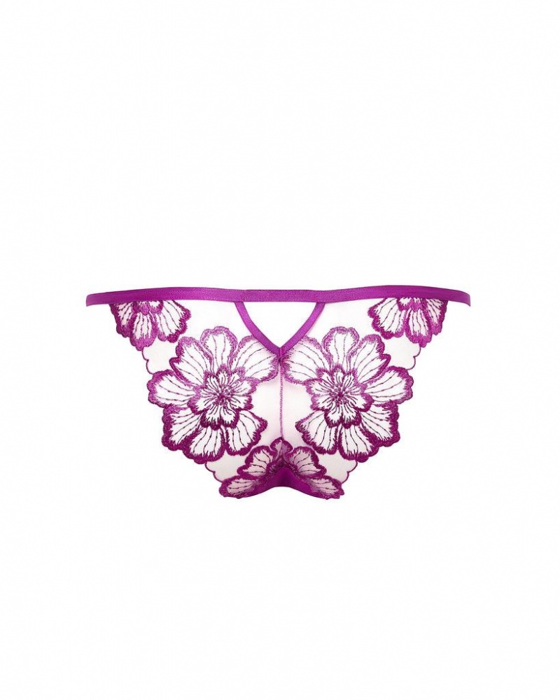 Bluebella Catalina Panty Bright Lingerie Light Purple | USATV3273