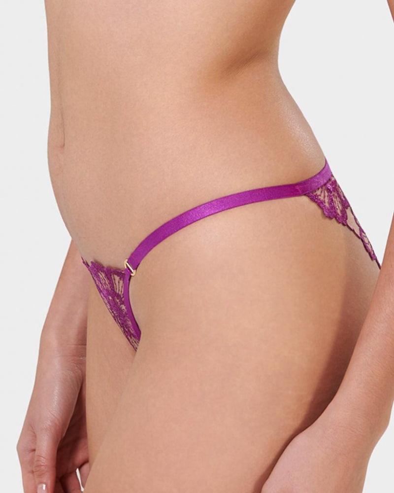 Bluebella Catalina Panty Bright Lingerie Light Purple | USATV3273