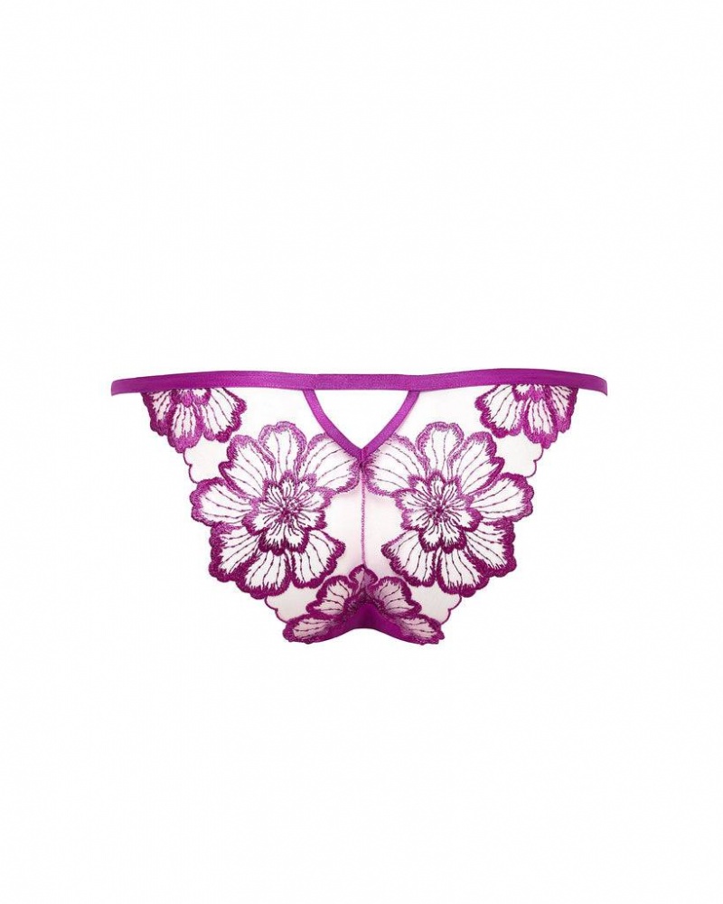 Bluebella Catalina Panty Bright Panties Light Purple | USAXF3159