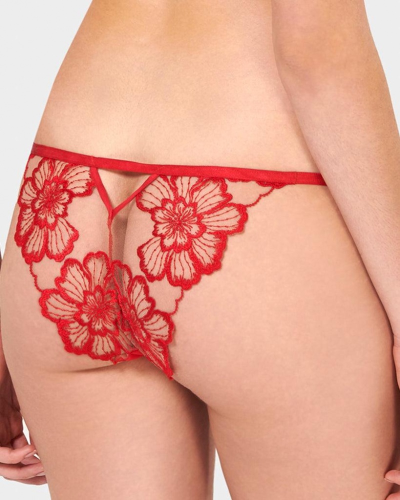 Bluebella Catalina Panty Lingerie Red | USASO3310