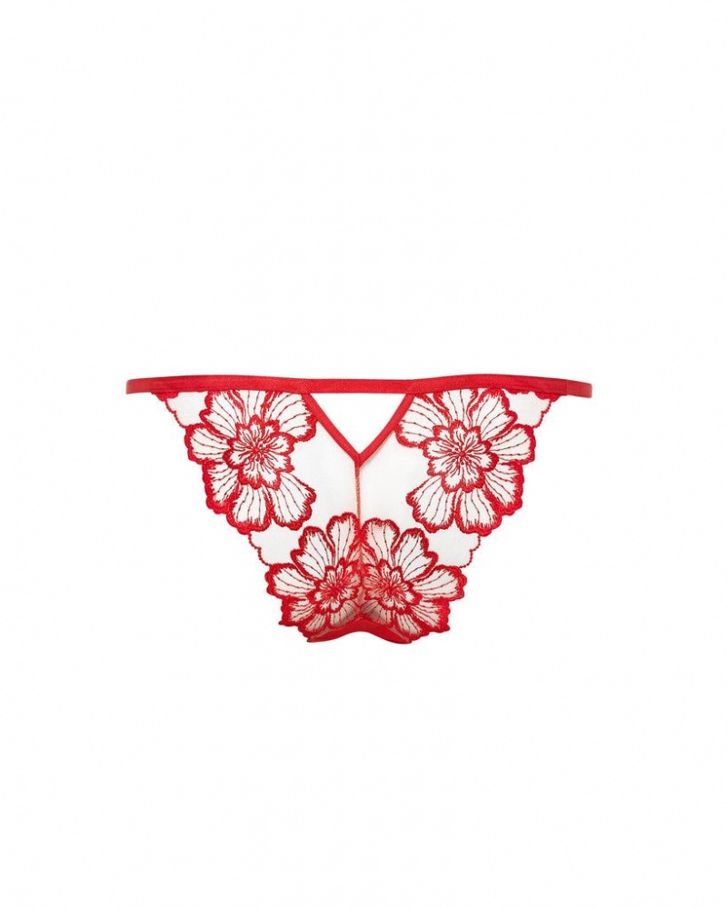 Bluebella Catalina Panty Lingerie Red | USASO3310