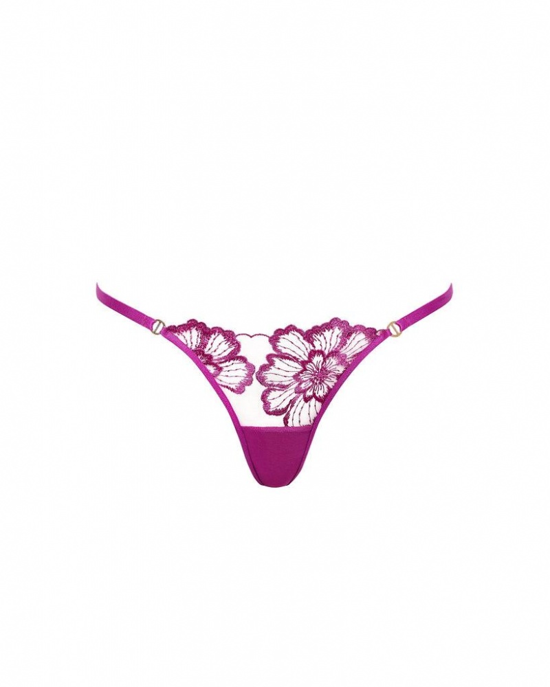 Bluebella Catalina Thong Bright Lingerie Light Purple | USAGL3281