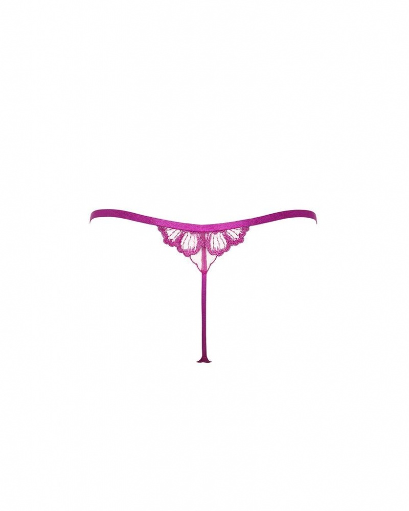 Bluebella Catalina Thong Bright Lingerie Light Purple | USAGL3281