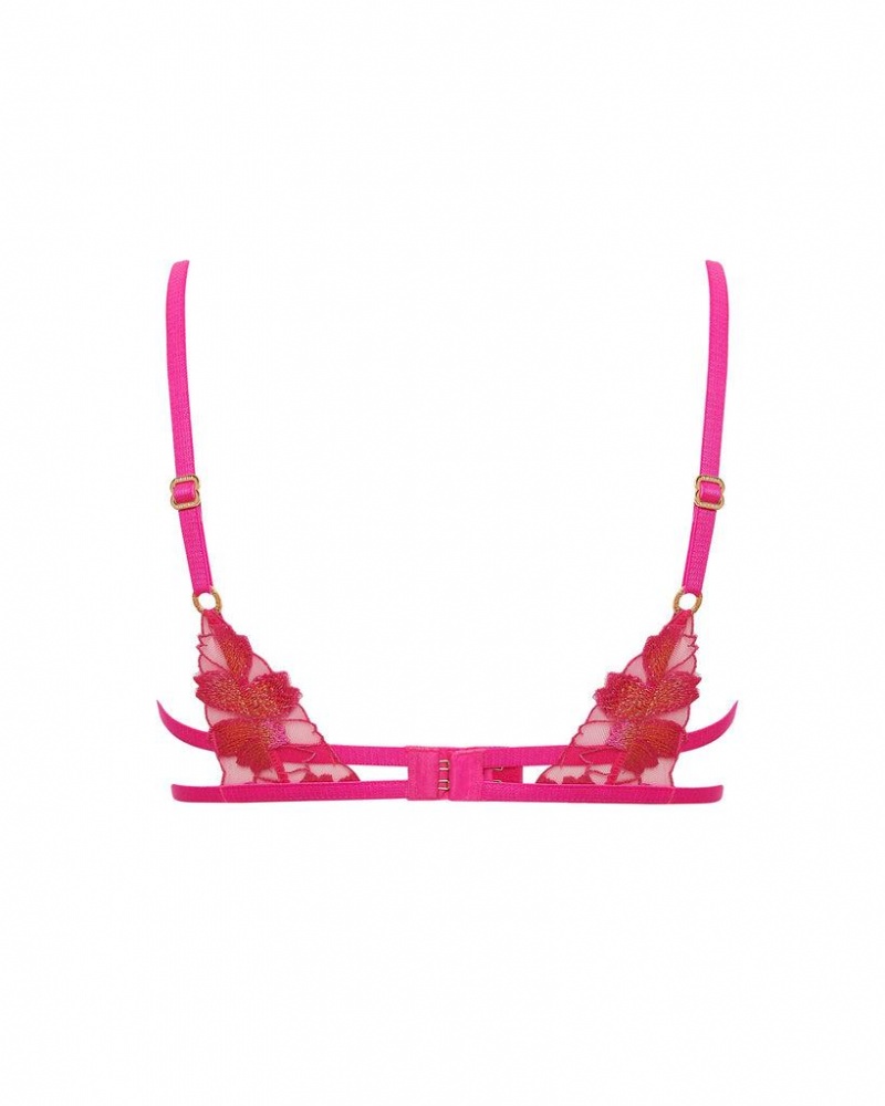 Bluebella Colette Bras Fuchsia Pink / Orange | USADN3096