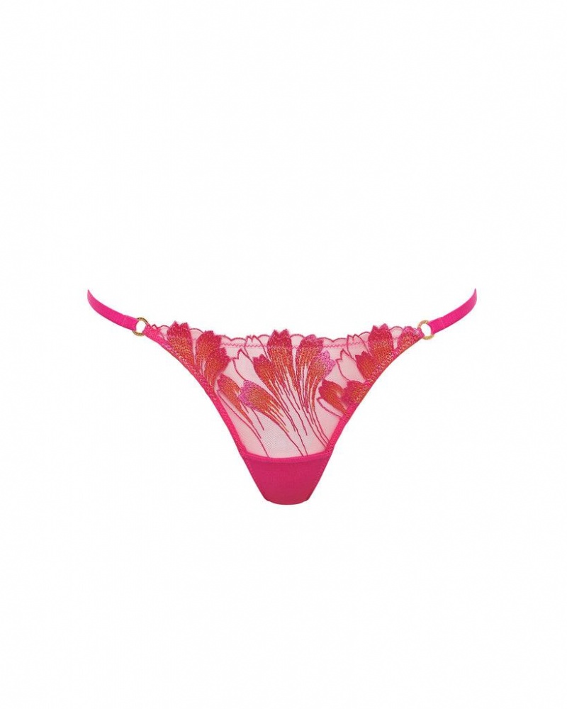 Bluebella Colette Panty Pepper Lingerie Fuchsia Pink / Orange | USABC3324