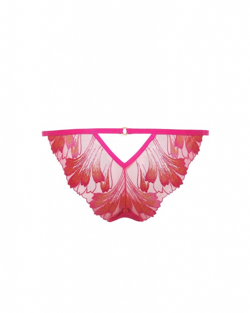 Bluebella Colette Panty Pepper Lingerie Fuchsia Pink / Orange | USABC3324