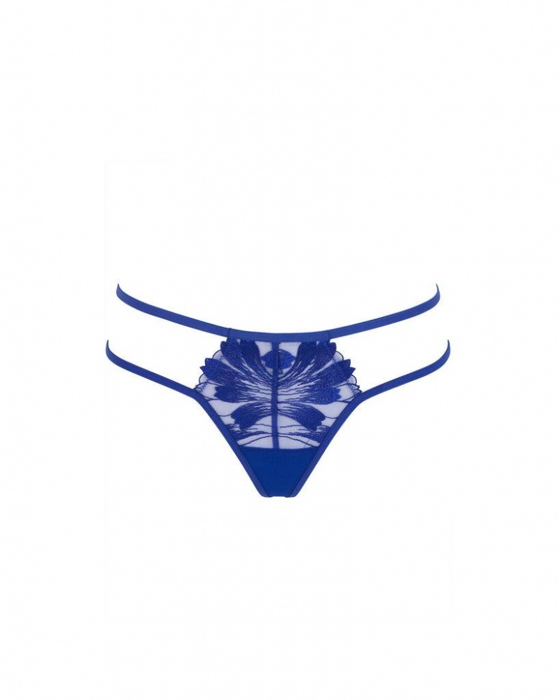 Bluebella Colette Thong Surf the Web Panties Blue | USAHK3120