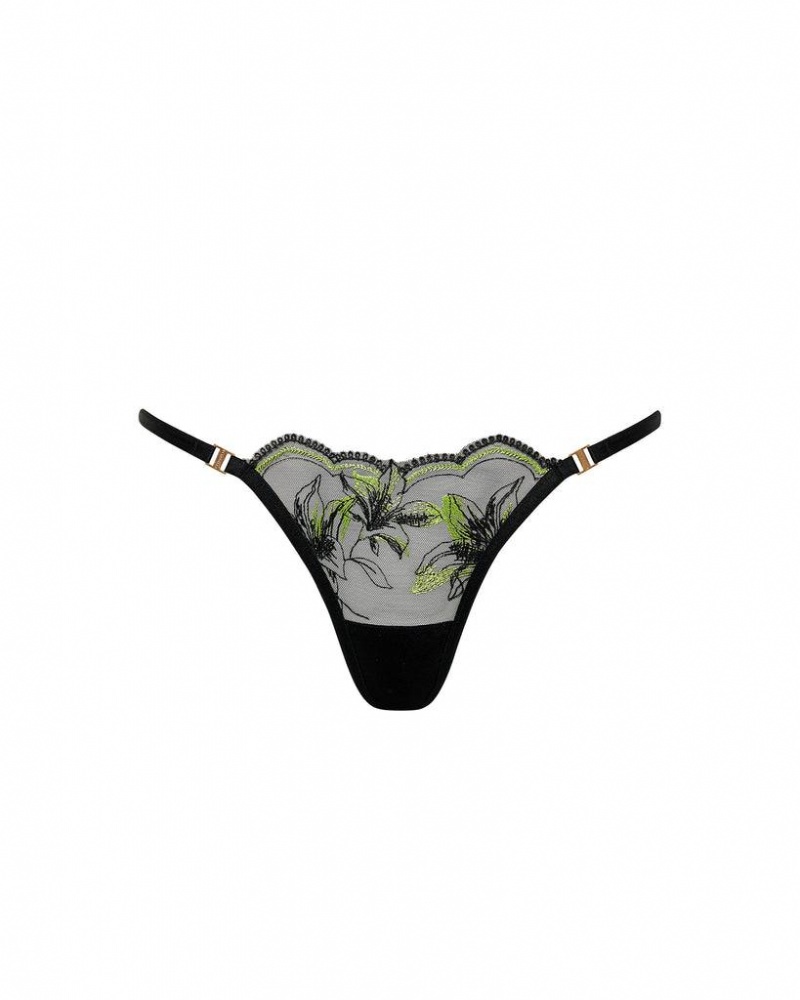 Bluebella Coppelia Eco Thong Panties Black | USAFM3166