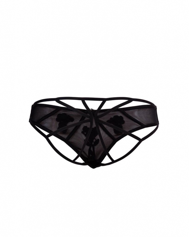 Bluebella Nova Panty Lingerie Black | USAKI3259