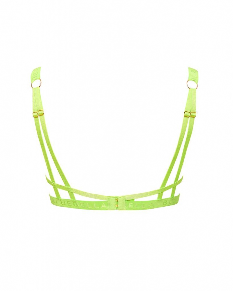 Bluebella Oslo Tender Shoots Bras Green | USATV3060