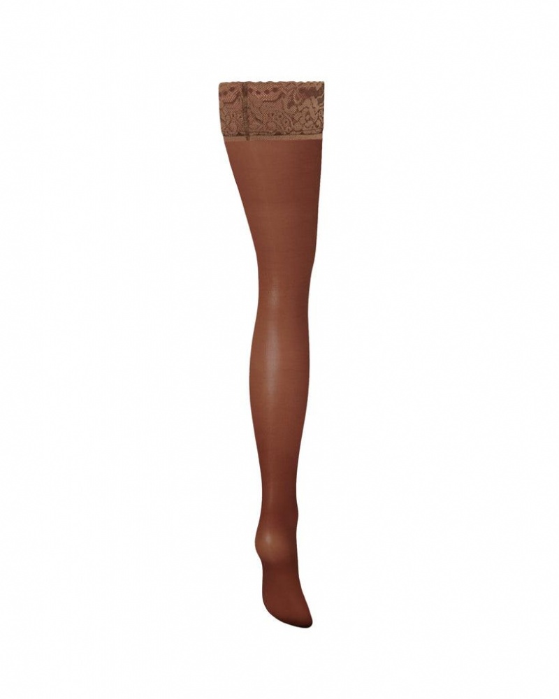 Bluebella Plain Leg/Lace Top Thigh Highs Berry Stockings Khaki | USANB3473