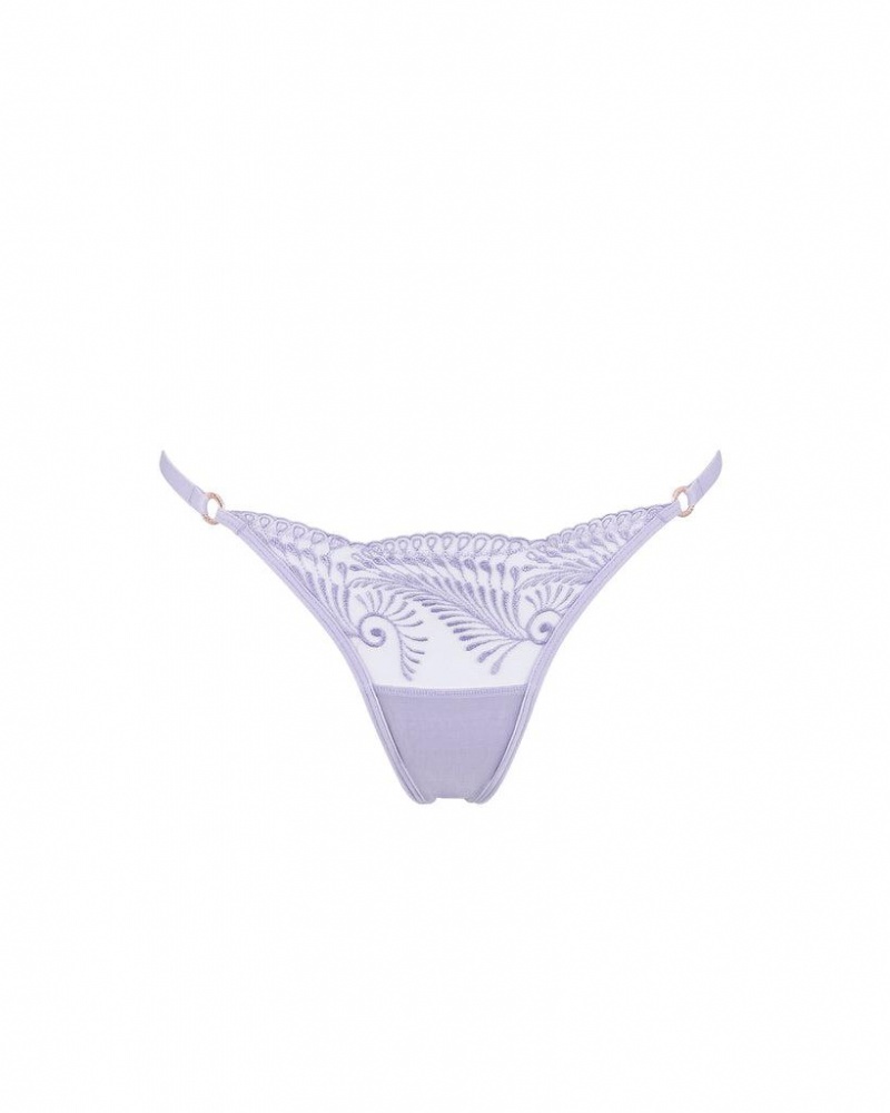 Bluebella Rafaela Panty Lingerie Purple Rose | USABC3227