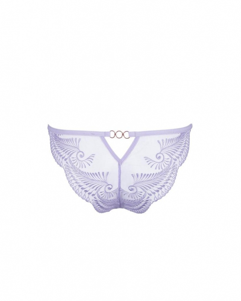 Bluebella Rafaela Panty Lingerie Purple Rose | USABC3227