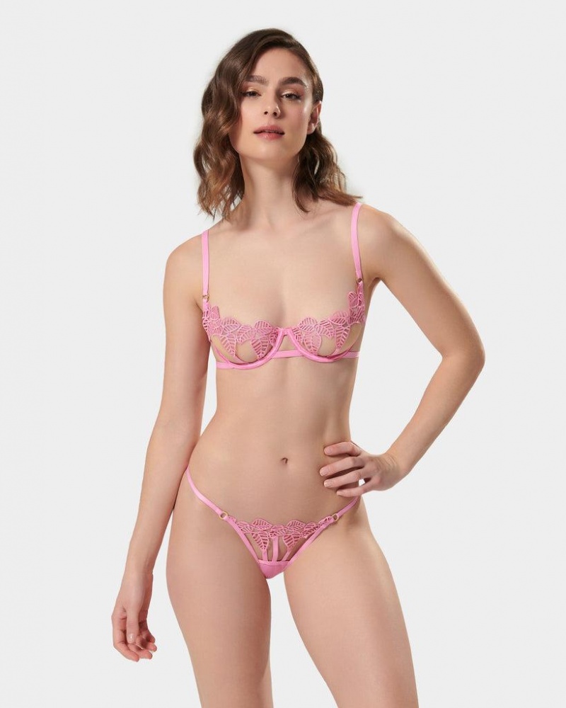 Bluebella Sapphira Begonia Bras Pink | USASO3026