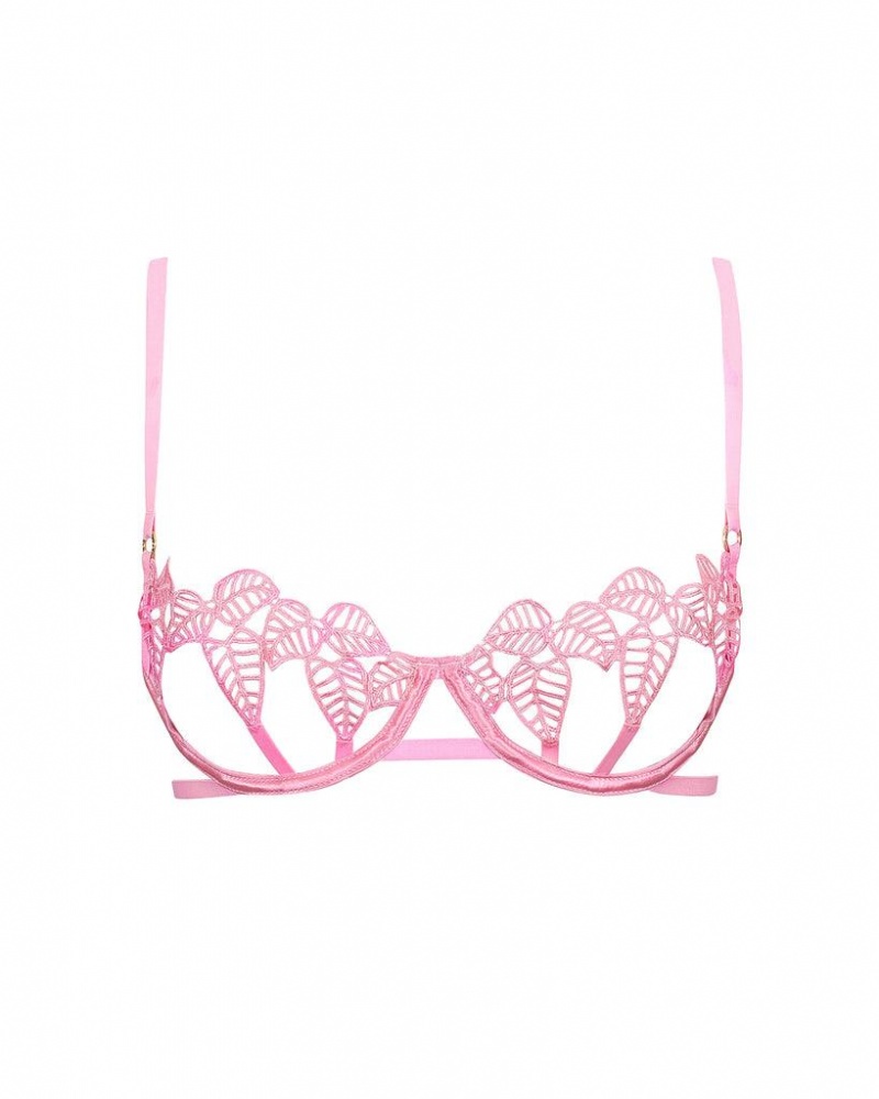 Bluebella Sapphira Begonia Bras Pink | USASO3026