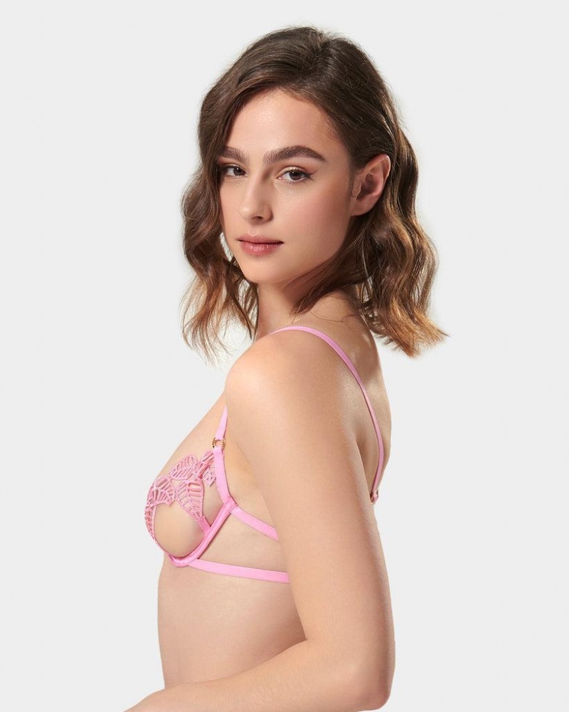 Bluebella Sapphira Begonia Bras Pink | USASO3026