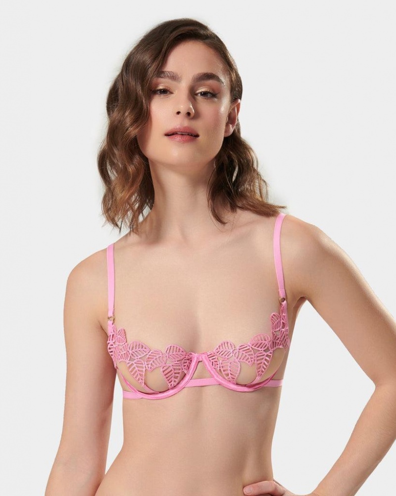 Bluebella Sapphira Begonia Bras Pink | USASO3026