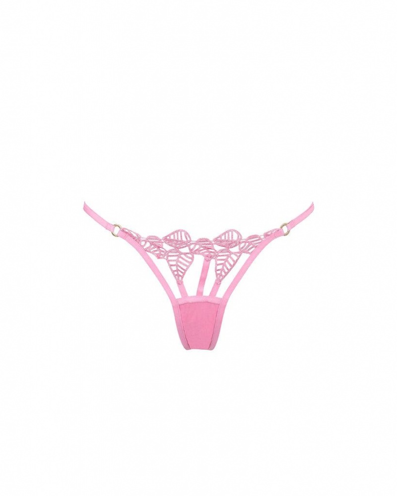 Bluebella Sapphira Thong Begonia Lingerie Pink | USAVD3325