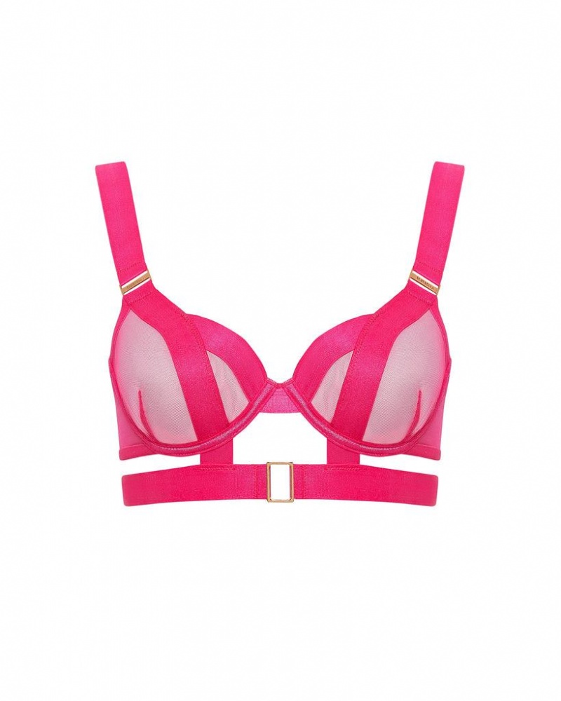 Bluebella Trinity Bra Fuchsia Pink | USAAP3513